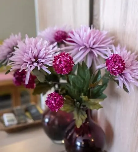 Treti Mart South Primorsko